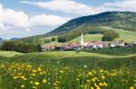 Lente in Trentino